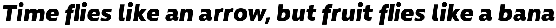 Rawson Alt Black Italic