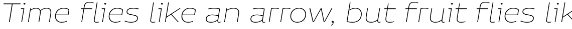 Niemeyer Thin Italic