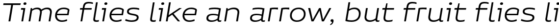 Niemeyer Light Italic