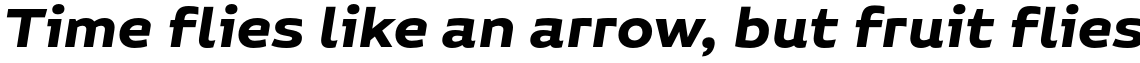 Niemeyer Bold Italic