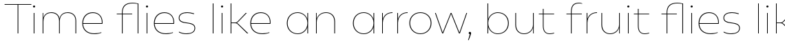 Geometrica Thin