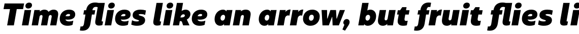 Geometrica Black Italic