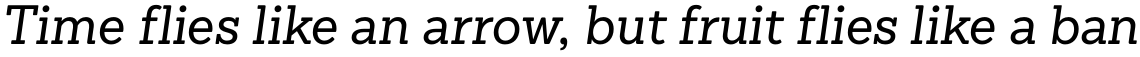 Sanchez Niu Regular Italic