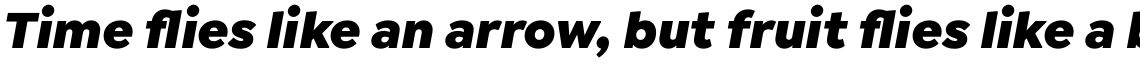Isidora Sans Black Italic