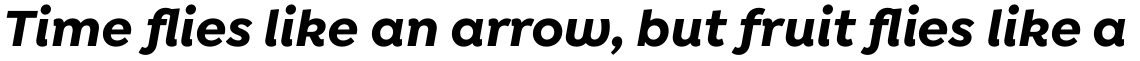 Isidora Sans Alt Bold Italic