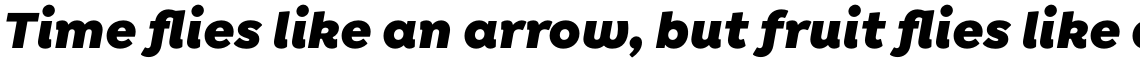 Isidora Sans Alt Black Italic