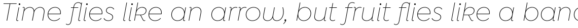 Isidora Sans Alt Thin Italic