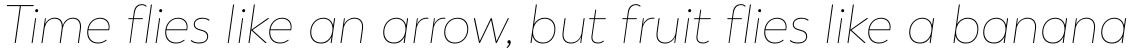 Boston Thin Italic