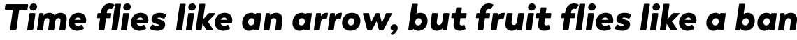Boston Black Italic