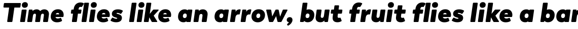Boston Heavy Italic