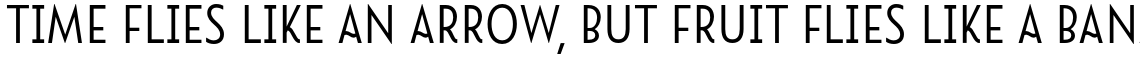 Namaste Sans Essential Bold