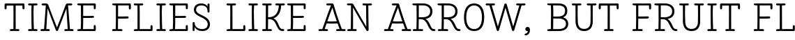 Save The Date Serif Bold