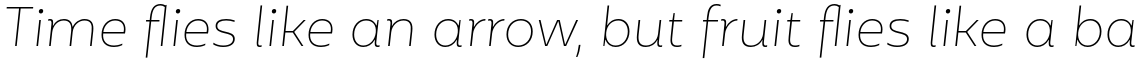 Mohr Thin Italic