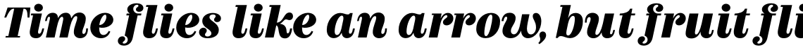 Couturier Black Italic