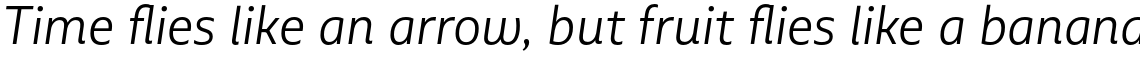 Multiple Sans Alt I Light Italic