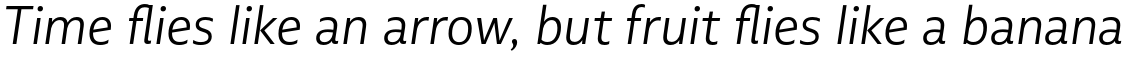 Multiple Sans Alt II Light Italic