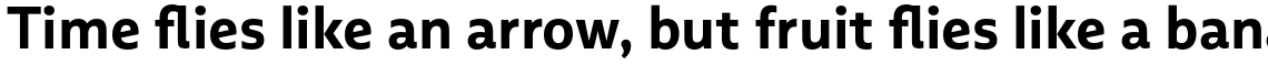 Multiple Sans Alt II Bold
