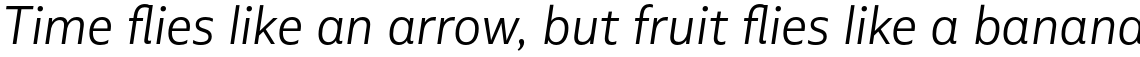 Multiple Sans Alt III Light Italic