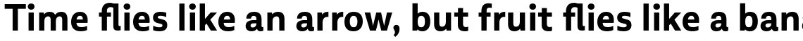 Multiple Sans Alt III Bold