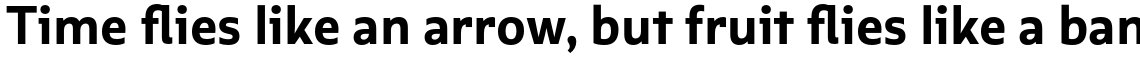 Multiple Sans Alt IV Bold