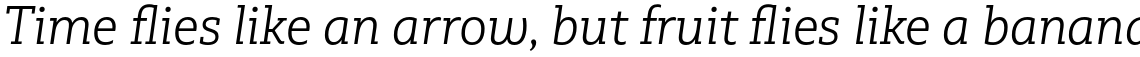 Multiple Slab Alt I Light Italic
