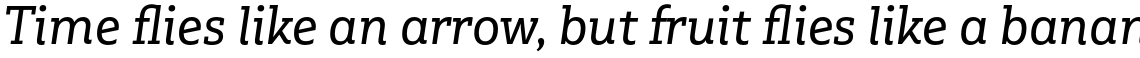 Multiple Slab Alt III Regular Italic