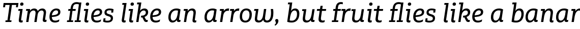Multiple Slab Pro Regular Italic