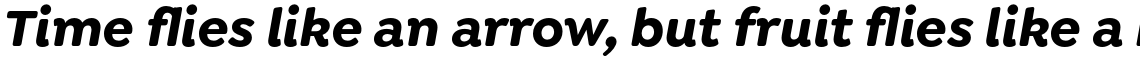 Isidora Soft Bold Italic