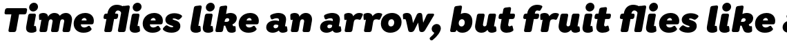 Isidora Soft Black Italic