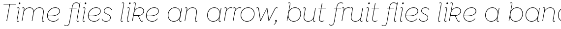 Isidora Soft Alt Thin Italic