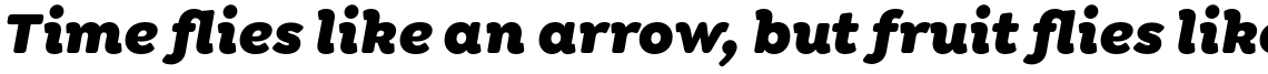 Isidora Soft Alt Black Italic