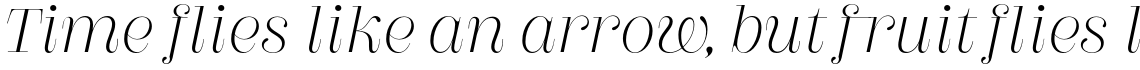 Couturier Poster Light Italic