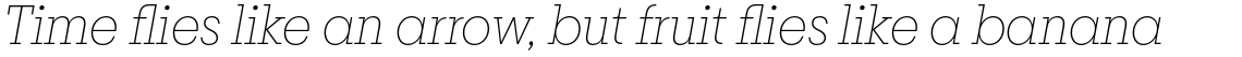 Breton Thin Italic
