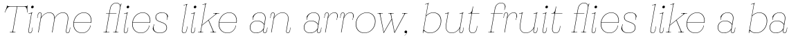 Monckeberg Thin Italic