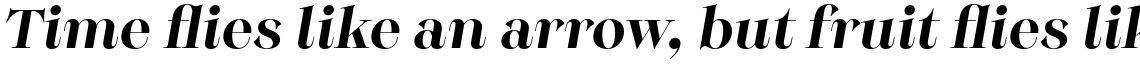Monckeberg Medium Italic
