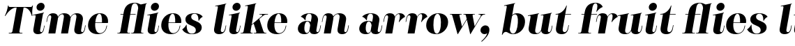 Monckeberg Bold Italic