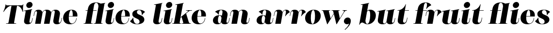Monckeberg Black Italic