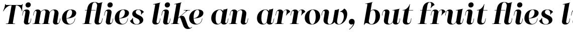 Monckeberg Alt Medium Italic