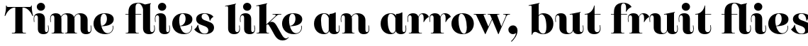 Monckeberg Alt Bold
