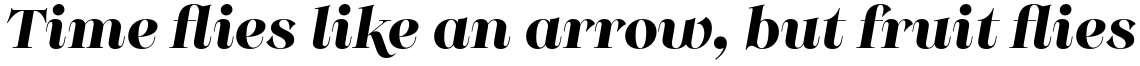 Monckeberg Alt Bold Italic