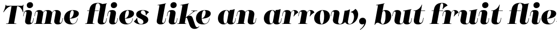 Monckeberg Alt Black Italic