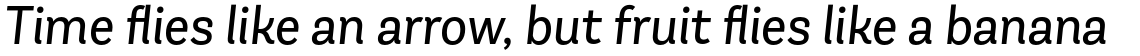 Andes Neue Book Italic