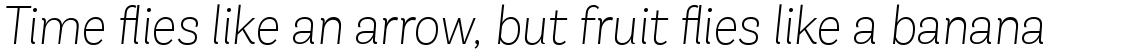 Andes Neue Alt 1 ExtraLight Italic