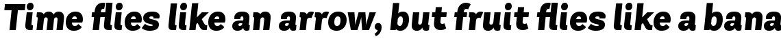 Andes Neue Alt 1 Black Italic
