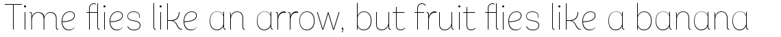 Andes Neue Alt 2 Thin