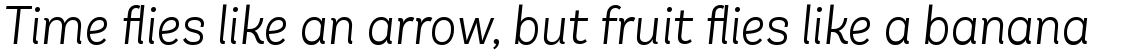 Andes Neue Alt 2 Light Italic