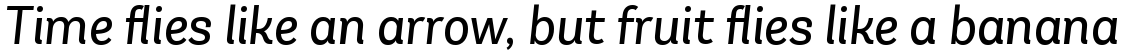 Andes Neue Alt 2 Book Italic