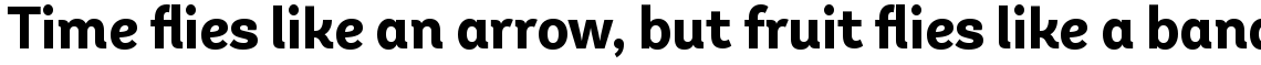 Andes Neue Alt 2 Bold