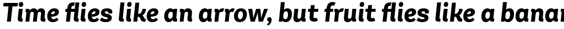Andes Neue Alt 2 Bold Italic