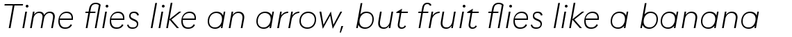 Utily Sans Light Italic